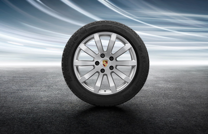 19-inch Cayenne S winter wheel-and-tire set (2017-2023)